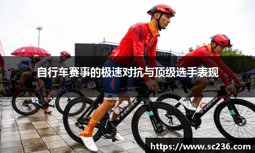 星空综合股份(中国)