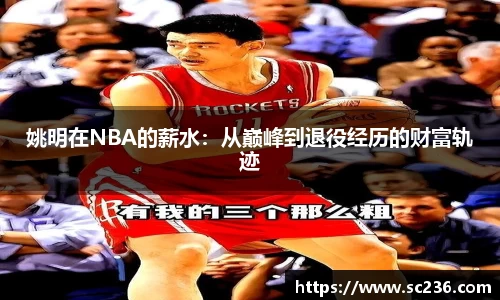 星空综合股份(中国)